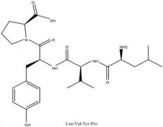 多肽的副作用是什么？